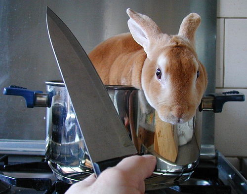 452049855_87e6b9ab80